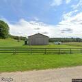 Child injured as horse falls on her at park
