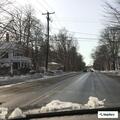 Traffic stop on vehicle with Maine wildlife plate