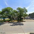 Noise complaint about cat on Main Street