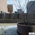 Person short of breath at Hennepin County Jail