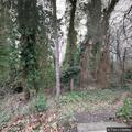 Unconscious person found at Wallace House Park