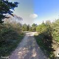 Tree limbs on power line causing road hazard