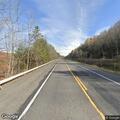 Deer in roadway on Route 28 in Fleischmanns