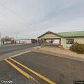Loose cattle reported on FM 2473 near Magic City