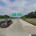 Large animal walking on Sunrise Highway