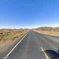 Injured deer after vehicle collision on Highway 124
