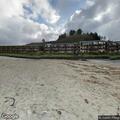 Dogs left in truck bed at Neskowin Resort