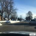 Stray dog taken to animal shelter on 21st Street