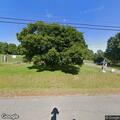 Tree and wires down blocking road in Abbot