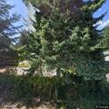 Small fire reported on South Viola Welch Road