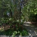Tree down on power line at vacant residence