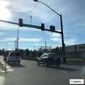 Traffic crash with no medical needed