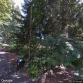 Trauma incident at Robin View Court in West Linn