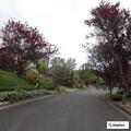 Person reported sick near Southwest 151st Place in Beaverton