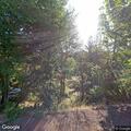Tree on power lines blocking road in Mt Hood