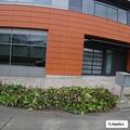 Man in 40s dizzy with stomach pain at PCC Willow Creek