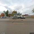 Loose puppies found inside Shell Lake convenience store