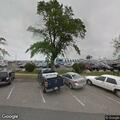 Loose Rottweiler and shepherd near State greenhouse