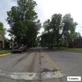 Dog running in and out of traffic at intersection