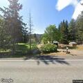 Cougar returns to carcass near Trout Lake home