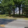 Bear hit by vehicle and loose on roadway