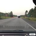 Officer plans to capture bear cub for treatment