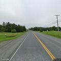 Loose dog running along Route 1 in Bridgewater