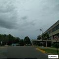 Dogs left in car at medical center with AC running