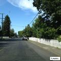 Tree down damages home and leans utility pole