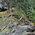 Gate forced open at forest cabin near Union Creek