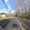 Ducks blocking roadway on Thompson Street