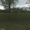 Loose horse reported along Pine Run Road