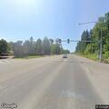 Wolf reported walking along roadway