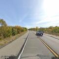 Bald eagle lying on Highway 371 roadway