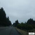 Deputy assists with arrest at Spanaway Loop Road