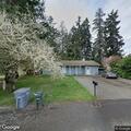 Loose dog in roadway near 218th Avenue East