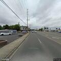Loose dog running across freeway traffic lanes