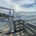 Kayaker flips over half mile out near Steilacoom ferry