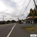 Cat struck by vehicle and moved off roadway