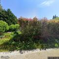 Car goes down embankment; two elderly occupants out