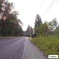 Deceased deer blocking westbound Highway 106