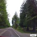 Traffic stop on Old Belfair Highway