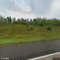 Motorist stopped for bear cub on highway