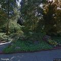 Disturbance on Lake Washington Boulevard South