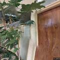 Noise complaint at McNeil Lodge on Rayburn