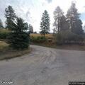 Deer blocking driveway at Ronan residence