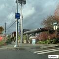 Patrol check for woman placing stickers on poles
