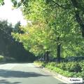 Man lying unconscious in Woodinville bus shelter