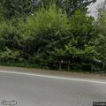 Car crashes into bushes on NE 178th Street