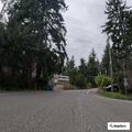 Man yelling in roadway near Northeast Perkins Way
